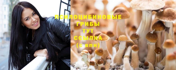 сатива Алзамай