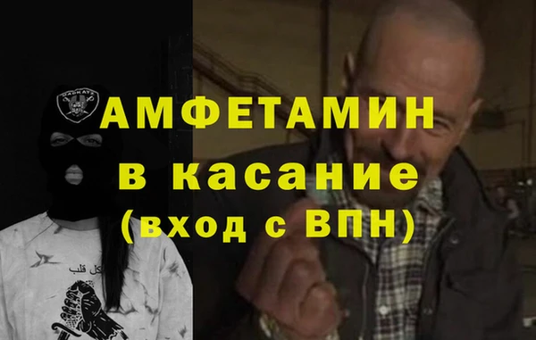 сатива Алзамай