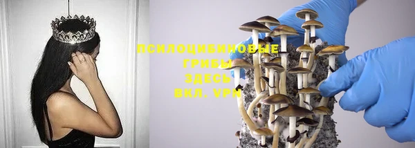 дмт Аркадак