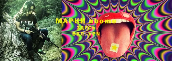дмт Аркадак