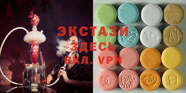 стафф Арсеньев