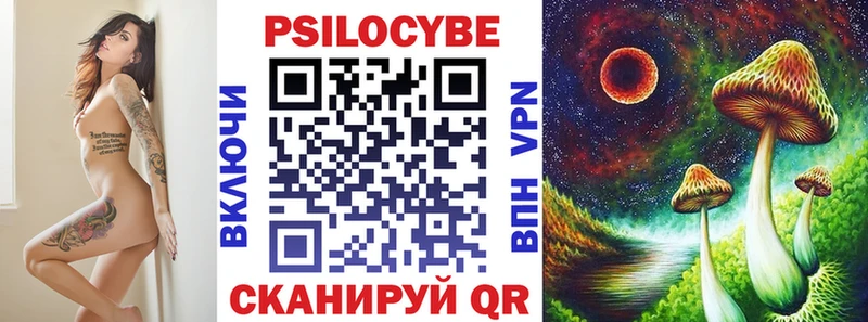 где купить   Снежногорск  Галлюциногенные грибы мицелий 